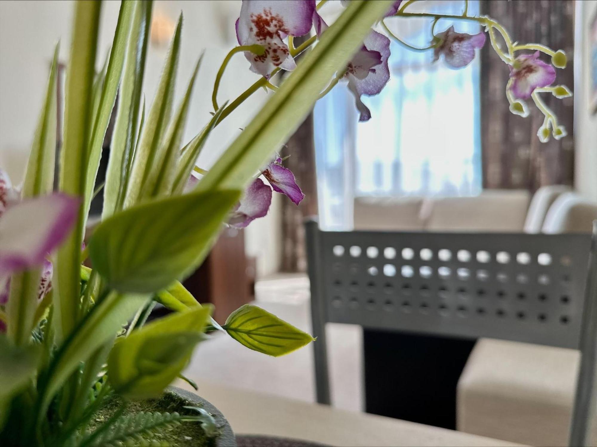 Grenada - Menada Apartments サニービーチ 部屋 写真