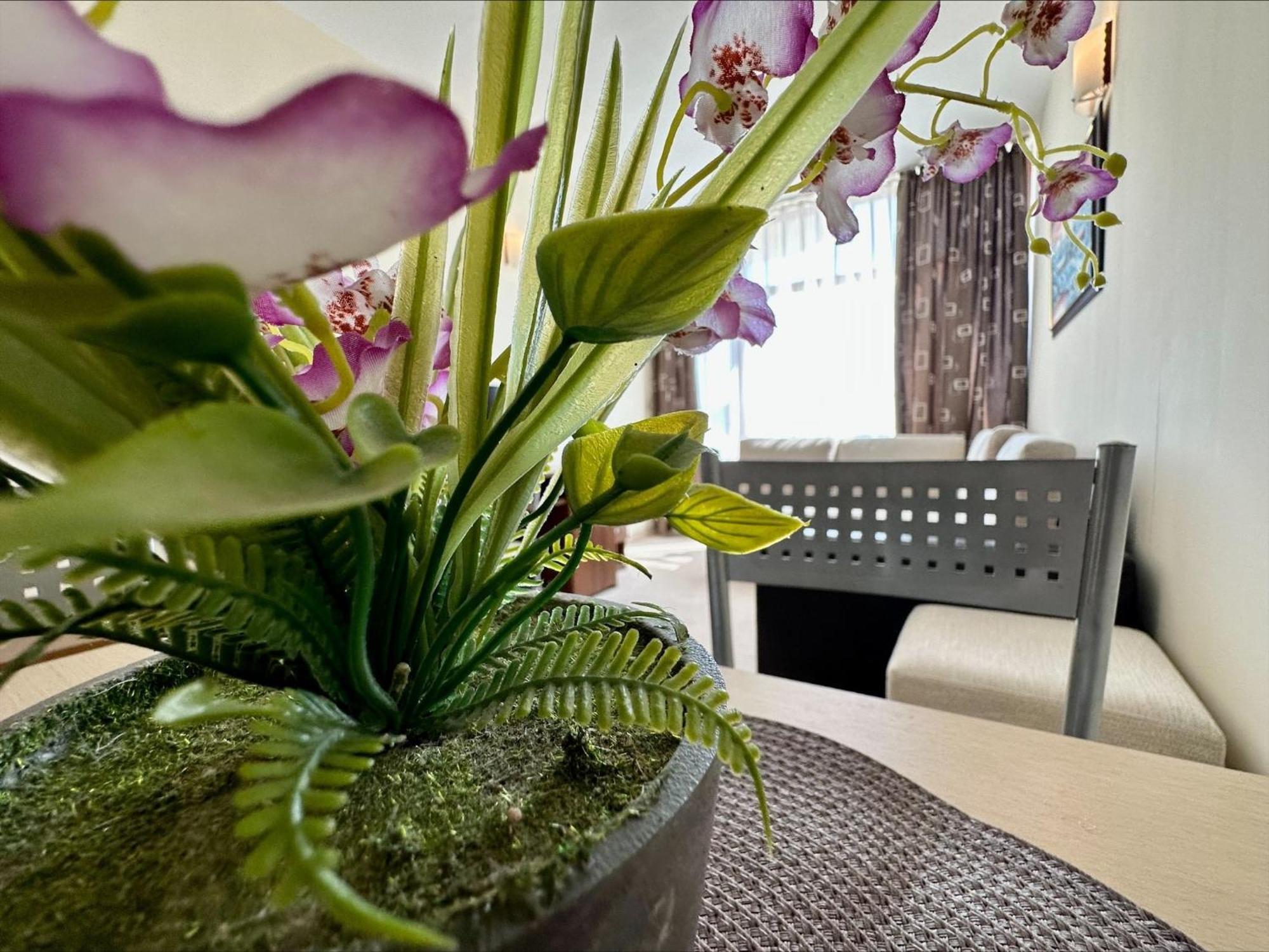 Grenada - Menada Apartments サニービーチ 部屋 写真